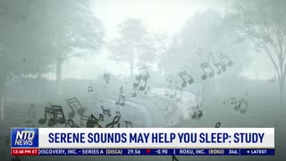 Serene Sounds May Help You Sleep: Study