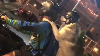 Cool Biker Pup Wearing Helmet Rides On Motorcycle