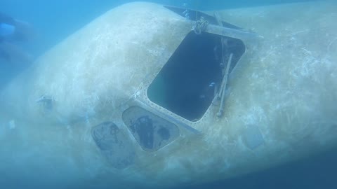 Sunken Plane in Peham, AL