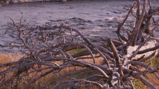 From Ice Age to Geological Wonderland: The Rapid Transformation of Adam’s Inlet