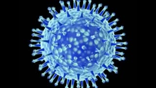 The Truth about Viruses (MEDIK)