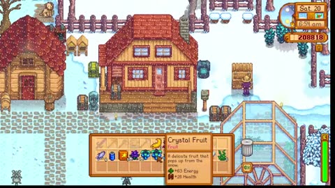 stardew vally with swamp ginger