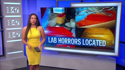 Shocking! Virus Horror Lab discovered in California County