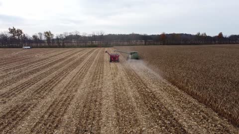 Indiana Corn Harvest