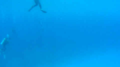 Cancun Mexico Carribean Scuba Diving Part 12