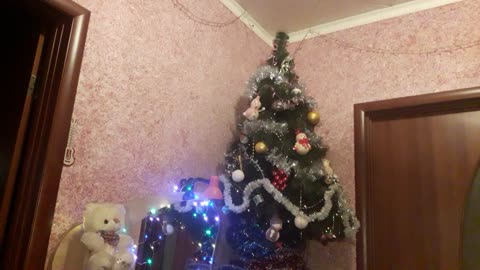 Merry Christmas at home