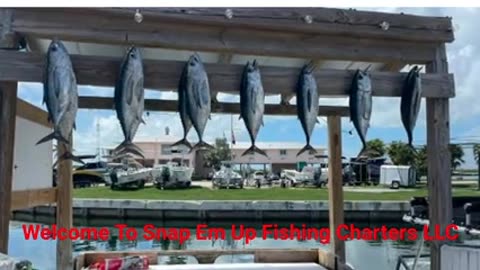 Snap Em Up Fishing Charters LLC - #1 Charter Fishing in Islamorada