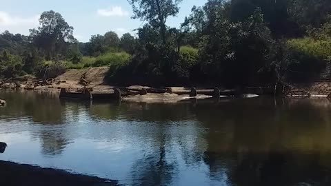 7.6.2024 The Barron River Kuranda