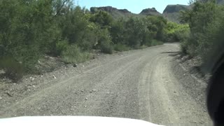 Big Bend Ranch State Park - 2010