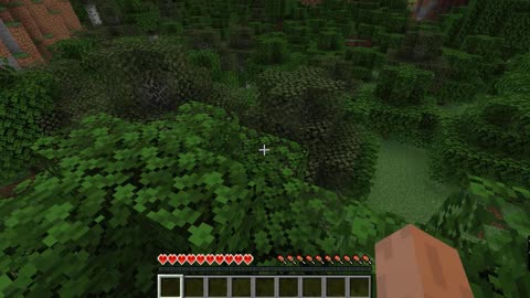 Minecraft version 1.17.1 Modded 2nd Outting_1