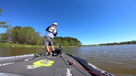 RECORD DAY OF BASS FISHING (UNBELIEVABLE)