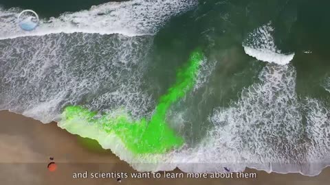 Rip Current Science