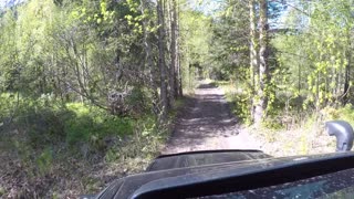 Summer Time, Old Seward Highway.