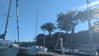 Santa Cruz Harbor Tour