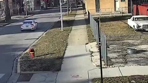Chicago, Video capturing the recent shooting on February 24th involving two elderly individuals