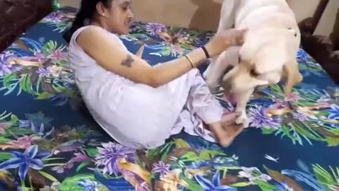 Mum & Pet- Dog