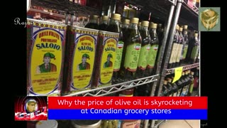 Why the price of olive oil is skyrocketing at Canadian grocery stores