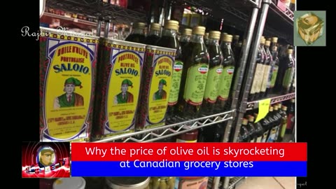 Why the price of olive oil is skyrocketing at Canadian grocery stores