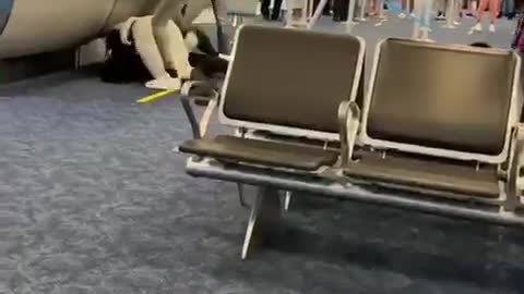 Miami airport brawl I