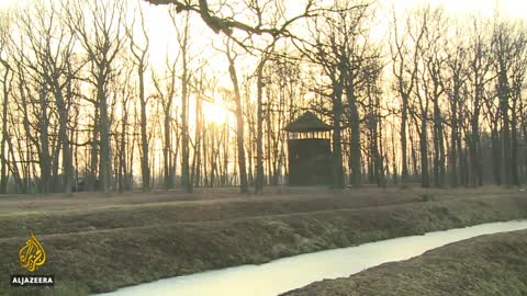 Remembering Auschwitz: Holocaust survivors share testimonies