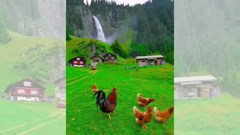Switzerland Beauty - Vlog #05