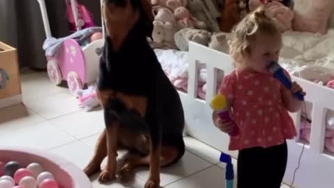 Toddler and Rottweiler sing epic duet together