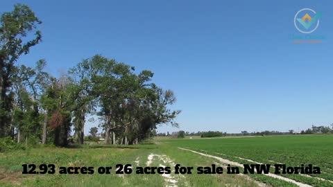 Rural Florida Country Property for Sale