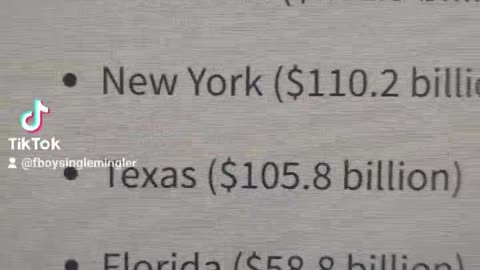 Kamala Harris Open Border Czar and California Welfare State looting from Delaware Minnesota