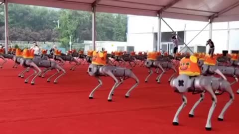 Chinese robot army performs synchronized figures - this is the World Robotics Conference in Beijing