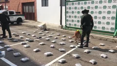 Hallaron 40 kilos de marihuana en una empresa de encomiendas en Bucaramanga