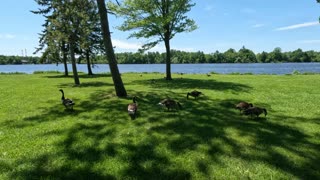 🏖️ Walking Mooney's #Bay Park & Beach, Finished Hiking In The Woods Of Ottawa 🏞️