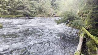 Shoreline Perspective of Wild & Scenic Salmon River – Mount Hood – 4K