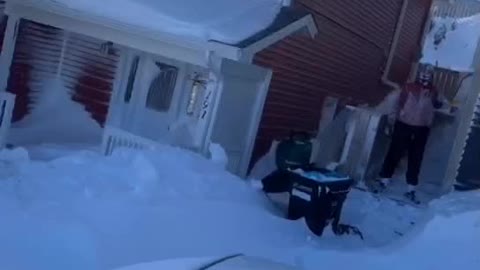 Snowed In in St. John's