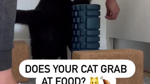 Does your cat grab at food?