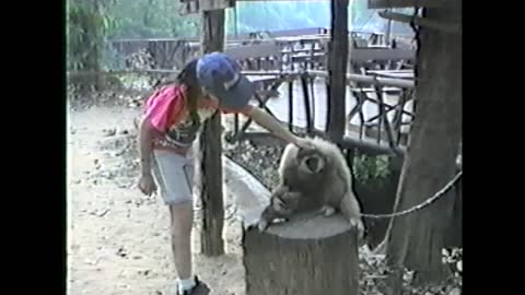 Spunky Monkey Shows Girl Where To Scratch His Head