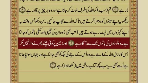 Quran-Para11_30-Urdu Translation