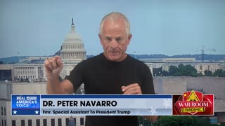 Peter Navarro Destroys Dick Cheney For Continually Misleading The American People