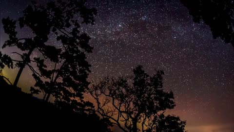 Beautiful stars in the night sky