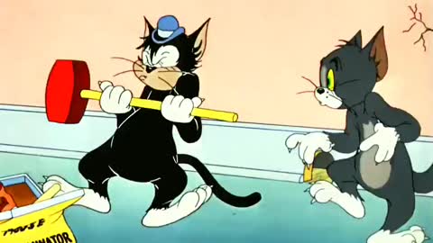 Funny Tom and Jerry cartoon videos, cartoon funny Video, kid's cartoon funny Video,