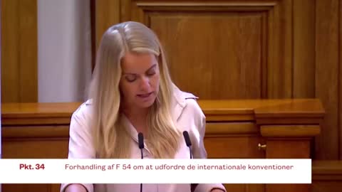 Pernille til folketinget: Danskernes sikkerhed skal stå over konventionerne