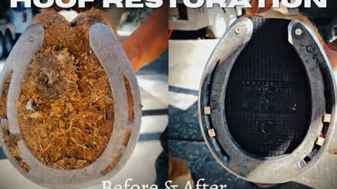 Very Satisfying - Hoof Restoration - Quick Restore