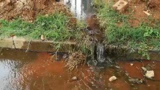 Waterpipes Leaking