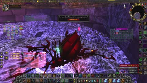 World of Warcraft Classic Shadow runs down the spider wing of Naxx