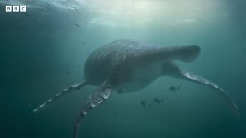 Giant Sea Monster Unearthed In UK