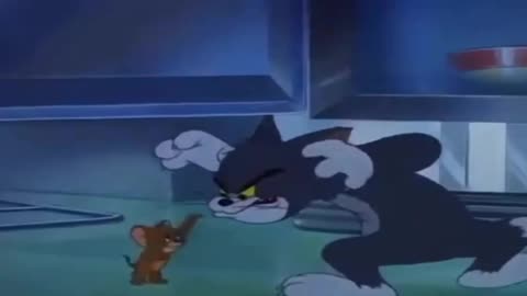 Tom and Jerry funny