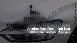 Another Funk Punk - Sub Toat