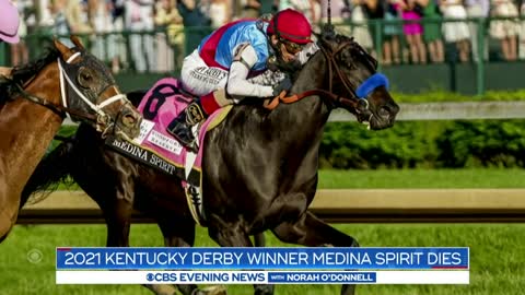 2021 Kentucky Derby winner Medina Spirit dies