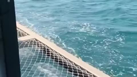 She lay reading on the guard net of the speedboat.