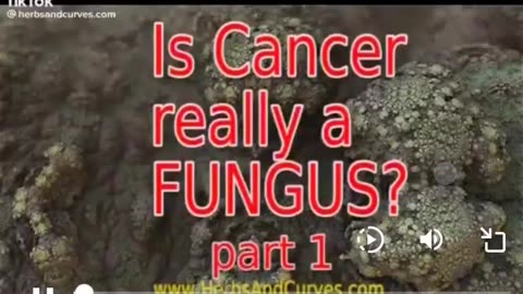 cancer is a fungus