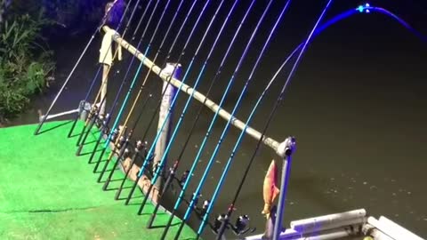 Best Fishing Video